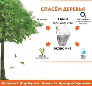 Жителей Ставрополя 6 марта приглашают на экомарафон «Сдай макулатуру – спаси дерево»
