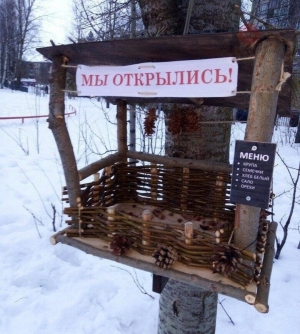 В Кисловодске юннаты открыли десятки кормушек для птиц