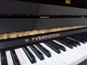 В детских школах искусств Ставрополя появятся 20 новых музыкальных инструментов