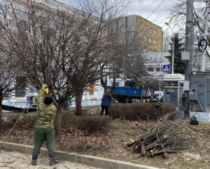 «Горзеленстрой» в центре Ставрополя к весне подготовит порядка 400 деревьев