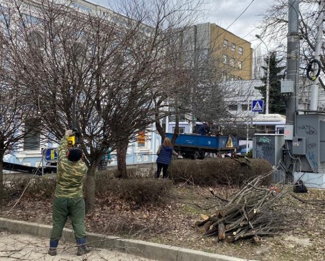 <i>«Горзеленстрой» в центре Ставрополя к весне подготовит порядка 400 деревьев</i>