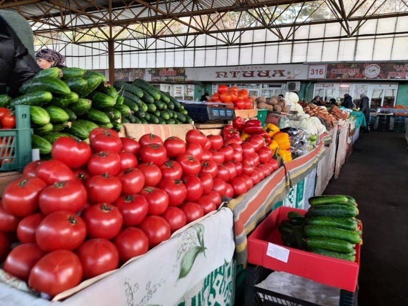 Аграрии Ставрополья планируют собрать 117 тысяч тонн тепличных овощей