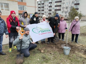 Волонтеры приступили к озеленению дворов Ставрополя