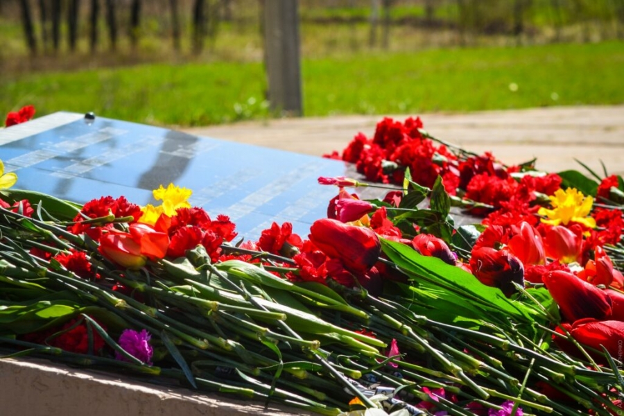 Останки ставропольского казака-летчика, поднятые из Черного моря, торжественного захоронят в Новопавловске