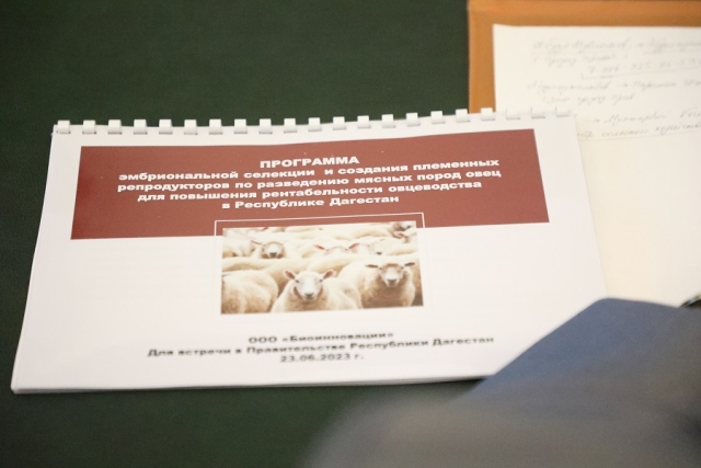 <i>В Дагестане займутся разведением овец на основе эмбриональной селекции</i>