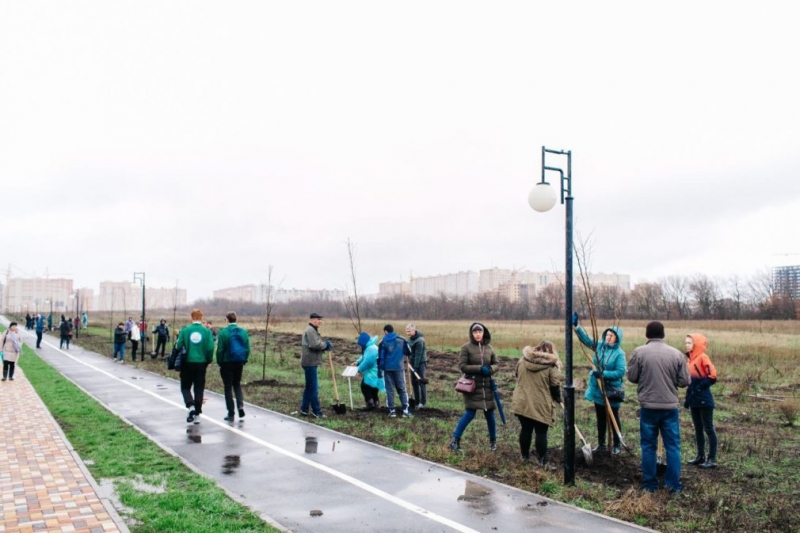 "Горзеленстрой" в Ставрополе высадил более 3 тысяч деревьев