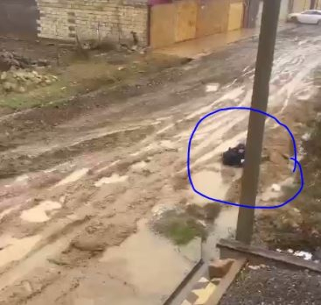 <i>Школьника в городе Дагестана засосала лужа</i>