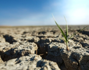 На Ставрополье запатентовали новый метод определения влажности почвы