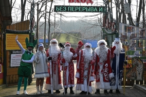 Деды Морозы проверили готовность парка «Победы» Ставрополя к Новому году