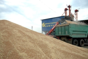 На Ставрополье завершили уборку зерновых и зернобобовых - 9 млн тонн