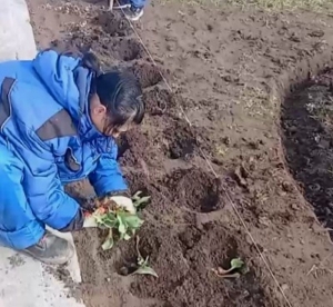 В Невинномысске перед памятником Владимиру Жоге высадили тюльпаны и розы