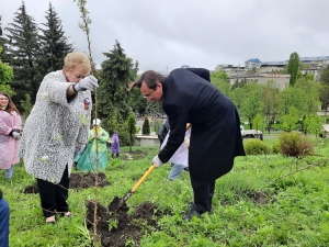 В Кисловодске посадили более ста деревьев Сада Памяти