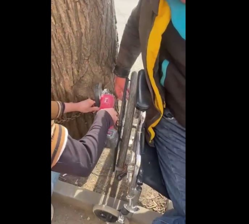 В Кисловодске заметили прикованного железной цепью к дереву инвалида