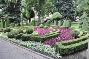 Озеленители Ставрополя в 2021 году высадили 600 тысяч саженцев цветов