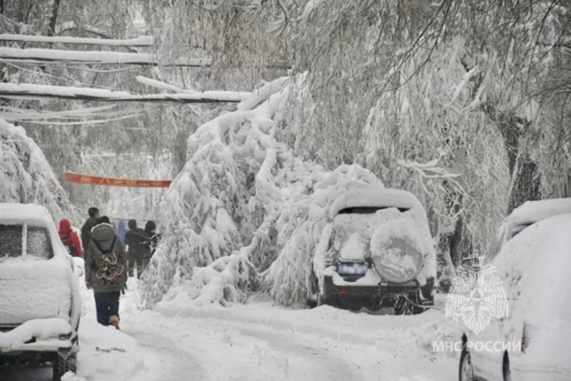 <i>На Ставрополье вернутся метель и снегопад</i>