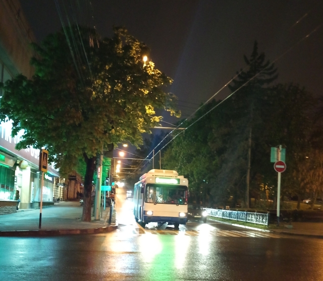 <i>В Черкесске водитель троллейбуса избил молотком не уступившего ему дорогу</i>