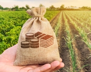 Объем льготных кредитов малому агробизнесу в России составил 217 млрд рублей