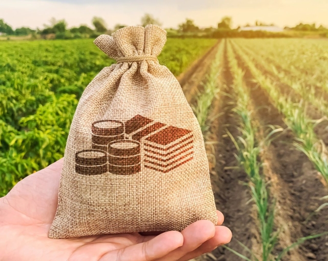 <i>Объем льготных кредитов малому агробизнесу в России составил 217 млрд рублей</i>
