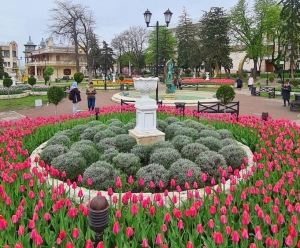 Пятигорск весной примет Карнавал тюльпанов