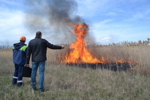В Ставрополе под контролем пожарных выжгли 3 га сухой травы