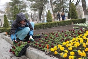 Улицы Кисловодска весной украсят свыше 400 тысяч цветов