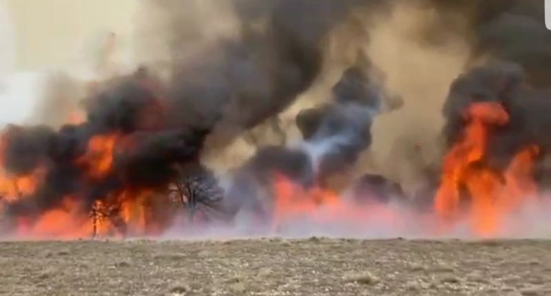 Сильный низовой пожар охватил территорию в Акушинском районе Дагестана