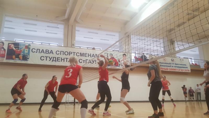 В Ставрополе разыграли Кубок любительской волейбольной лиги