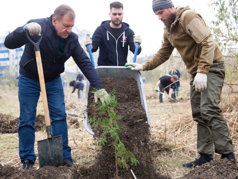 "Горзеленстрой" в 2023 году в Ставрополе высадил 5,5 тысячи деревьев и 750 тысяч цветов