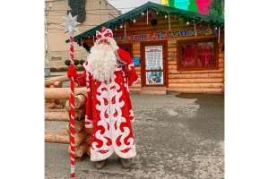 В Ставрополе в день рождения Деда Мороза напомнили о  работе его резиденции