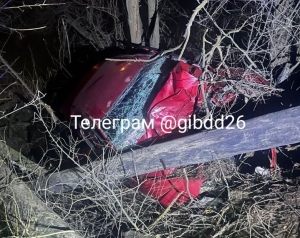 В Будённовском округе из-за уснувшего водителя травмированы три человека