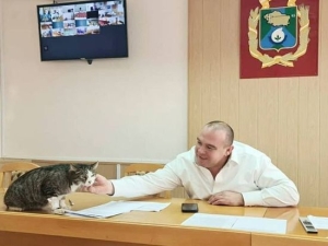 Главный кот Невинномысска Кипиш оставил прощальную запись в своем Телеграме