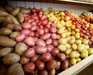 Жители Ставрополя смогут впрок закупить картофель на ярмарках 1-2 октября