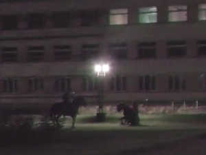 В центре Кисловодска молодые люди на лошадях испортили газон. Видео