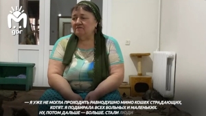 Женщина стала покровительствовать кошкам после КТО в Чечне