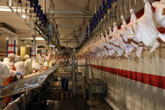 <i>На Ставрополье появится новый комплекс по переработке мяса птицы</i>