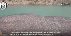 По Чиркейскому водохранилищу Дагестана потекли мусорные реки