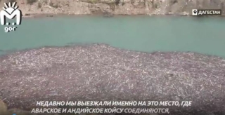 По Чиркейскому водохранилищу Дагестана потекли мусорные реки