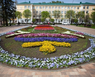 Праздничное настроение жителям Ставрополя создали символы Победы из цветов
